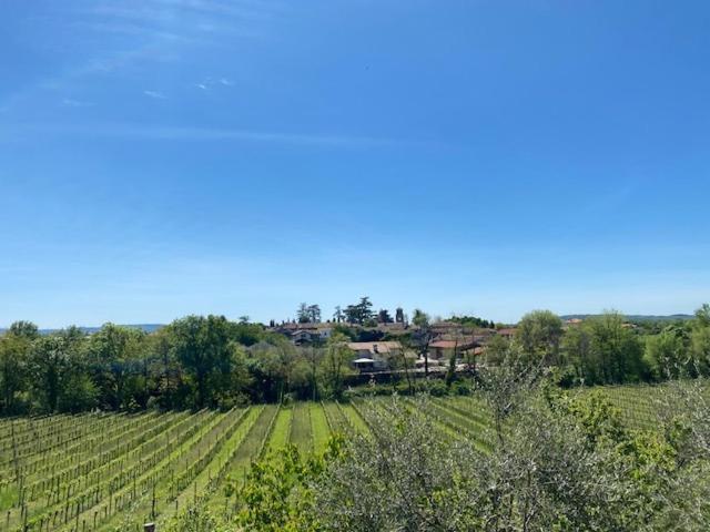 Villa Butussi - L'Ospitalita Del Vino Corno di Rosazzo Dış mekan fotoğraf