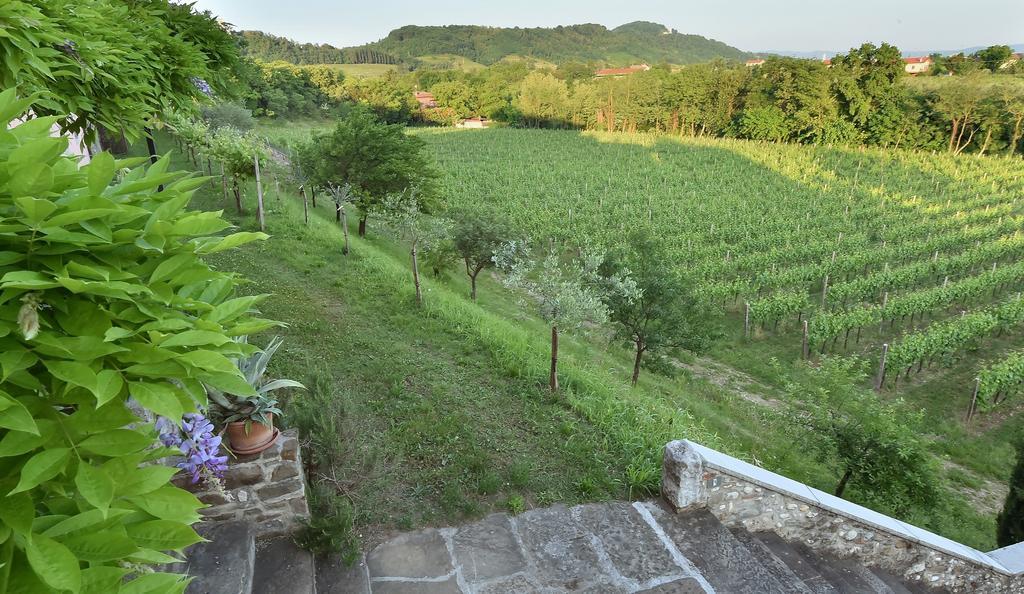 Villa Butussi - L'Ospitalita Del Vino Corno di Rosazzo Dış mekan fotoğraf