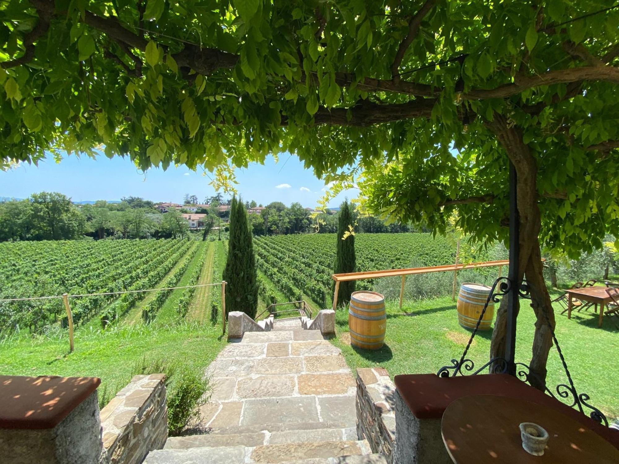 Villa Butussi - L'Ospitalita Del Vino Corno di Rosazzo Dış mekan fotoğraf