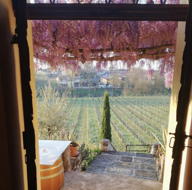 Villa Butussi - L'Ospitalita Del Vino Corno di Rosazzo Dış mekan fotoğraf